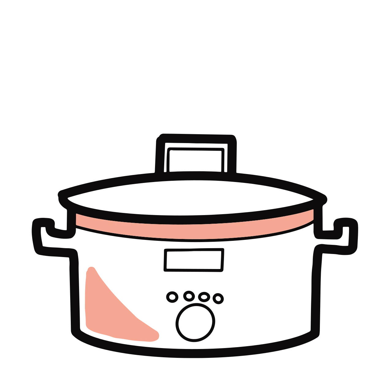 Slow Cooker